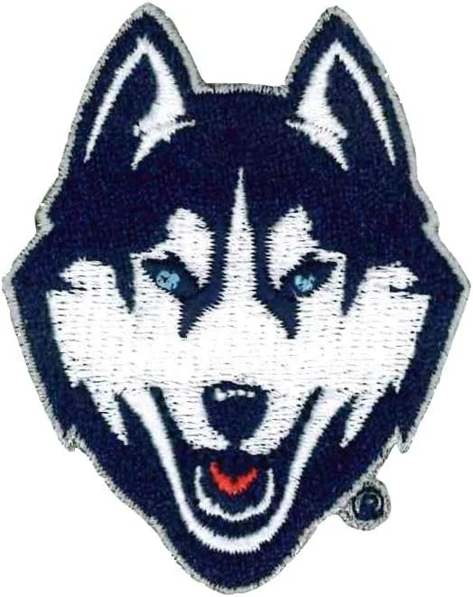 Tervis 16oz Tumbler | UConn Huskies - Primary Logo