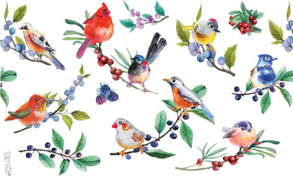 Tervis Watercolor Songbirds Made in USA Double Walled Insulated Tumbler Cup Keeps Drinks Cold & Hot, 24oz, Clear
