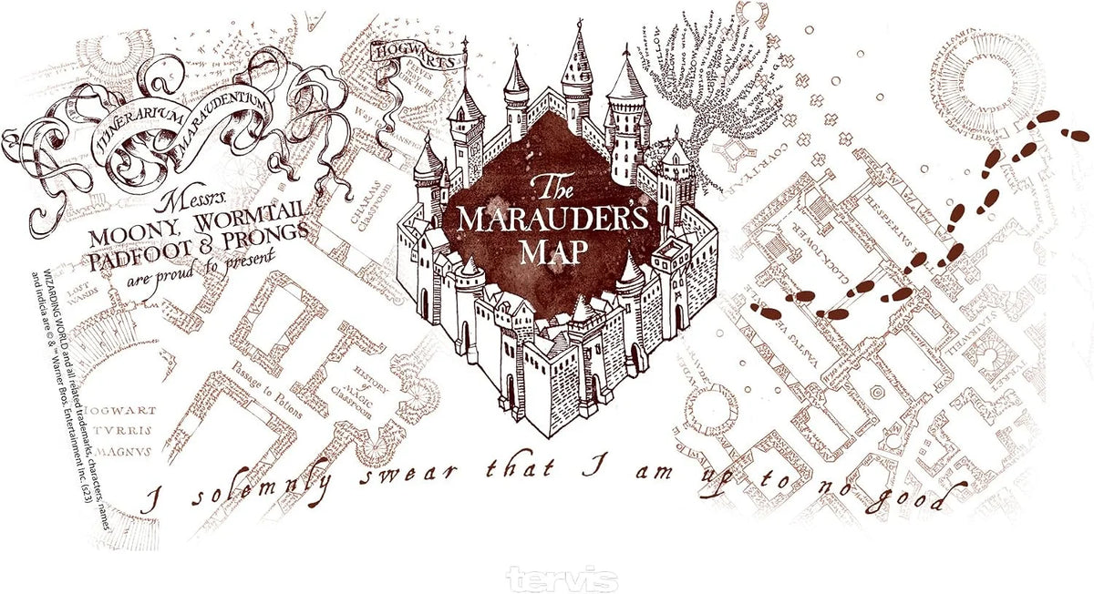Tervis Harry Potter The Marauder's Map Made in USA Double Walled Insulated Tumbler Travel Cup Keeps Drinks Cold & Hot, 24oz Venture Lite Water Bottle, Classic
