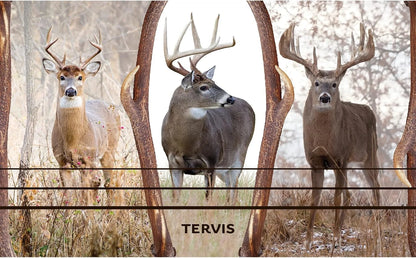 Tervis 20oz Stainless Steel Tumbler | Deer Trio