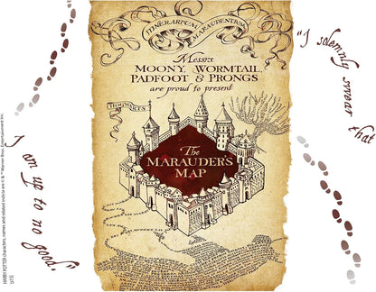 Tervis Harry Potter The Marauder's Map Made in USA Double Walled Insulated Tumbler Travel Cup Keeps Drinks Cold & Hot, 24oz Venture Lite Water Bottle, Classic