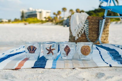 Tervis Beachcomber Collection Sand Dollar Made in USA Double Walled Insulated Tumbler Travel Cup Keeps Drinks Cold & Hot, 12oz, Sand Dollar